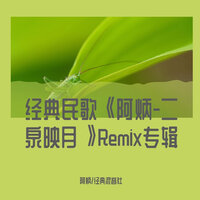 经典民歌《阿炳-二泉映月》Remix专辑